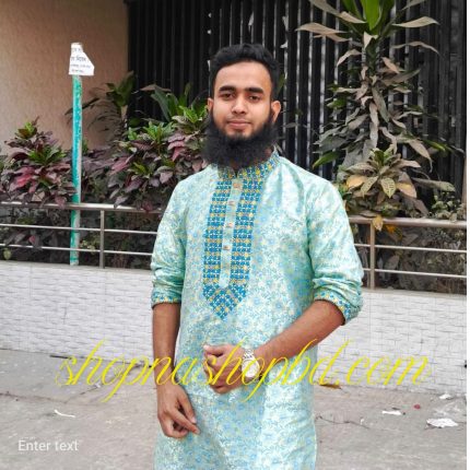 পার্টি পাঞ্জাবি