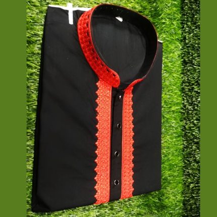 Embroidery Panjabi